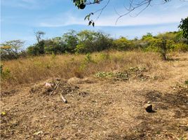  Terreno (Parcela) en venta en Panamá Oeste, San Carlos, San Carlos, Panamá Oeste