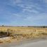  Land for sale in Zaragoza, San Luis Potosi, Zaragoza