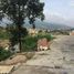  Land for sale in Medellin, Antioquia, Medellin, Antioquia