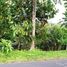  Land for sale in Selemadeg, Tabanan, Selemadeg