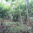  Land for sale in Selemadeg, Tabanan, Selemadeg