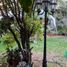 4 Bedroom House for sale in Cuauhtemoc, Mexico City, Cuauhtemoc