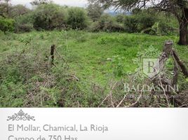  Land for sale in Chamical, La Rioja, Chamical