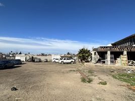  Grundstück zu verkaufen in Tijuana, Baja California, Tijuana
