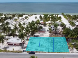  Land for sale in Sinanche, Yucatan, Sinanche