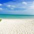  Land for sale in Sinanche, Yucatan, Sinanche