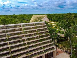  Land for sale in Cozumel, Quintana Roo, Cozumel, Quintana Roo