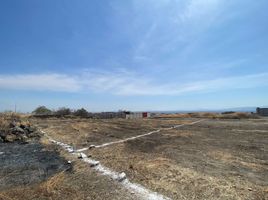  Land for sale in Tlayacapan, Morelos, Tlayacapan