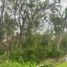  Terreno (Parcela) en venta en Cancún, Quintana Roo, Cancún