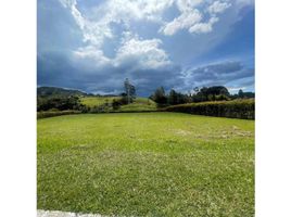 Terrain à vendre à El Carmen De Viboral, Antioquia, El Carmen De Viboral