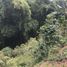 Terrain à vendre à Santa Rosa De Cabal, Risaralda, Santa Rosa De Cabal