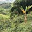Terrain à vendre à Santa Rosa De Cabal, Risaralda, Santa Rosa De Cabal