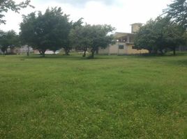  Land for sale in Yautepec, Morelos, Yautepec