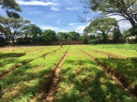  Terreno (Parcela) en venta en Tibu, Norte De Santander, Tibu