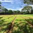  Land for sale in Tibu, Norte De Santander, Tibu