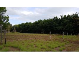  Land for sale in Cocle, Rio Hato, Anton, Cocle