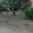  Land for sale in Colon, Cordoba, Colon