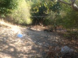  Terreno (Parcela) en venta en Temixco, Morelos, Temixco