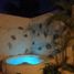 Studio House for sale in Merida, Yucatan, Merida