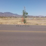  Land for rent in Delicias, Chihuahua, Delicias, Chihuahua