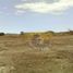  Land for sale in Cathedral of the Immaculate Conception, Cuenca, Cuenca, Cuenca