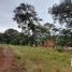  Land for sale in Cuautepec De Hinojosa, Hidalgo, Cuautepec De Hinojosa