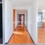 240 平米 Office for rent in Puebla, San Andres Cholula, Puebla