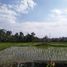  Terrain for sale in Tegallalang, Gianyar, Tegallalang