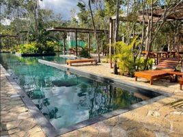 Appartement 2 chambre à louer à Cozumel, Quintana Roo, Cozumel, Quintana Roo, Mexique