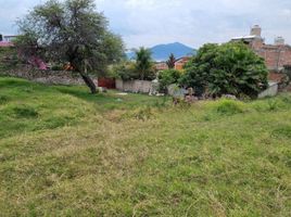  Terreno (Parcela) en venta en Jocotepec, Jalisco, Jocotepec, Jalisco