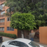 3 Schlafzimmer Appartement zu verkaufen in Alvaro Obregon, Mexico City, Alvaro Obregon