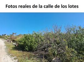  Grundstück zu verkaufen in Chicxulub Pueblo, Yucatan, Chicxulub Pueblo