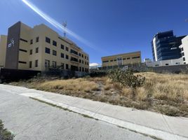  Terreno (Parcela) en venta en Queretaro, Querétaro, Queretaro, Querétaro, México