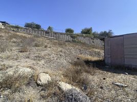  Grundstück zu verkaufen in Tijuana, Baja California, Tijuana