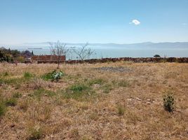  Terreno (Parcela) en venta en Chapala, Jalisco, Chapala