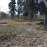  Land for sale in Punilla, Cordoba, Punilla