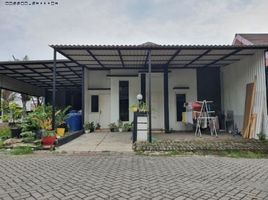 2 Bedroom House for sale in Sidoarjo, East Jawa, Sidoarjo, Sidoarjo