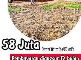  Land for sale in Malang Regency, East Jawa, Kepanjen, Malang Regency