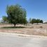 Terrain à vendre à Torreon, Coahuila, Torreon