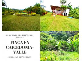 3 Habitación Villa en venta en Caicedonia, Valle Del Cauca, Caicedonia