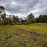  Terrain for sale in El Carmen De Viboral, Antioquia, El Carmen De Viboral