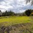  Terrain for sale in El Carmen De Viboral, Antioquia, El Carmen De Viboral