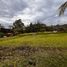  Terrain for sale in El Carmen De Viboral, Antioquia, El Carmen De Viboral