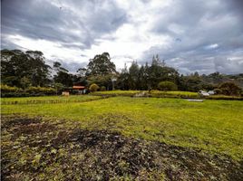  Land for sale in El Carmen De Viboral, Antioquia, El Carmen De Viboral