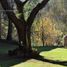 在Jalisco出售的3 卧室 Quinta, Atemajac De Brizuela, Jalisco