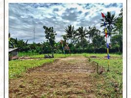  Land for sale in Malang Regency, East Jawa, Kepanjen, Malang Regency