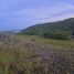  Terreno (Parcela) en venta en Liloan, Central Visayas, Liloan