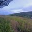  Terreno (Parcela) en venta en Liloan, Central Visayas, Liloan