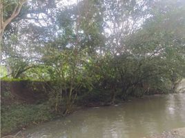  Grundstück zu verkaufen in Capira, Panama Oeste, El Cacao, Capira