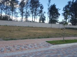  Terreno (Parcela) en venta en Tumbaco, Pichincha, Tumbaco